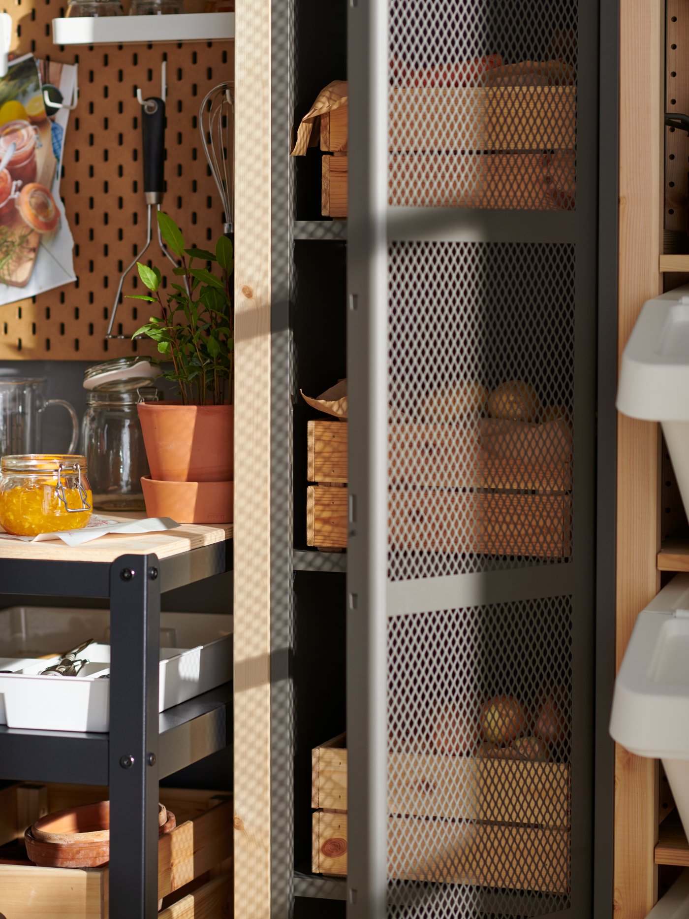 Grey mesh IVAR cabinet with door holding wooden boxes full of potatoes next to a black BROR work bench.