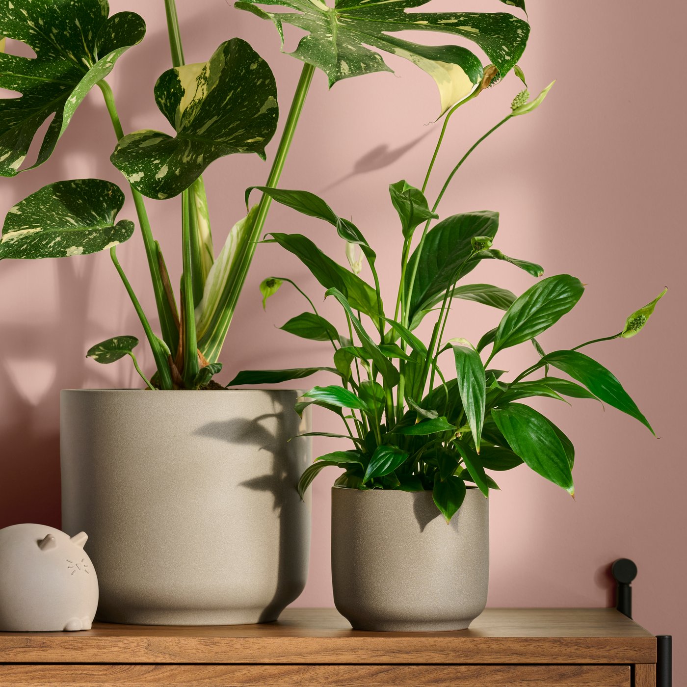 Des plantes vertes en pots blancs et gris décorent une étroite étagère devant un mur couleur terre cuite, dans une illustration d’intérieur apaisante inspirée de IKEA.