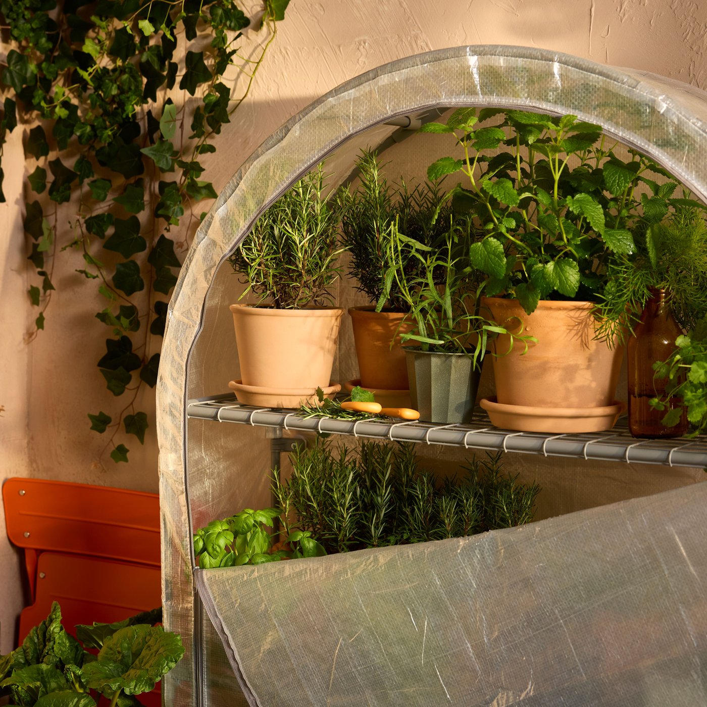 Przy ścianie balkonu stoi częściowo otwarta biała przezroczysta miniszklarnia ASPAREN wypełniona roślinami w doniczkach.