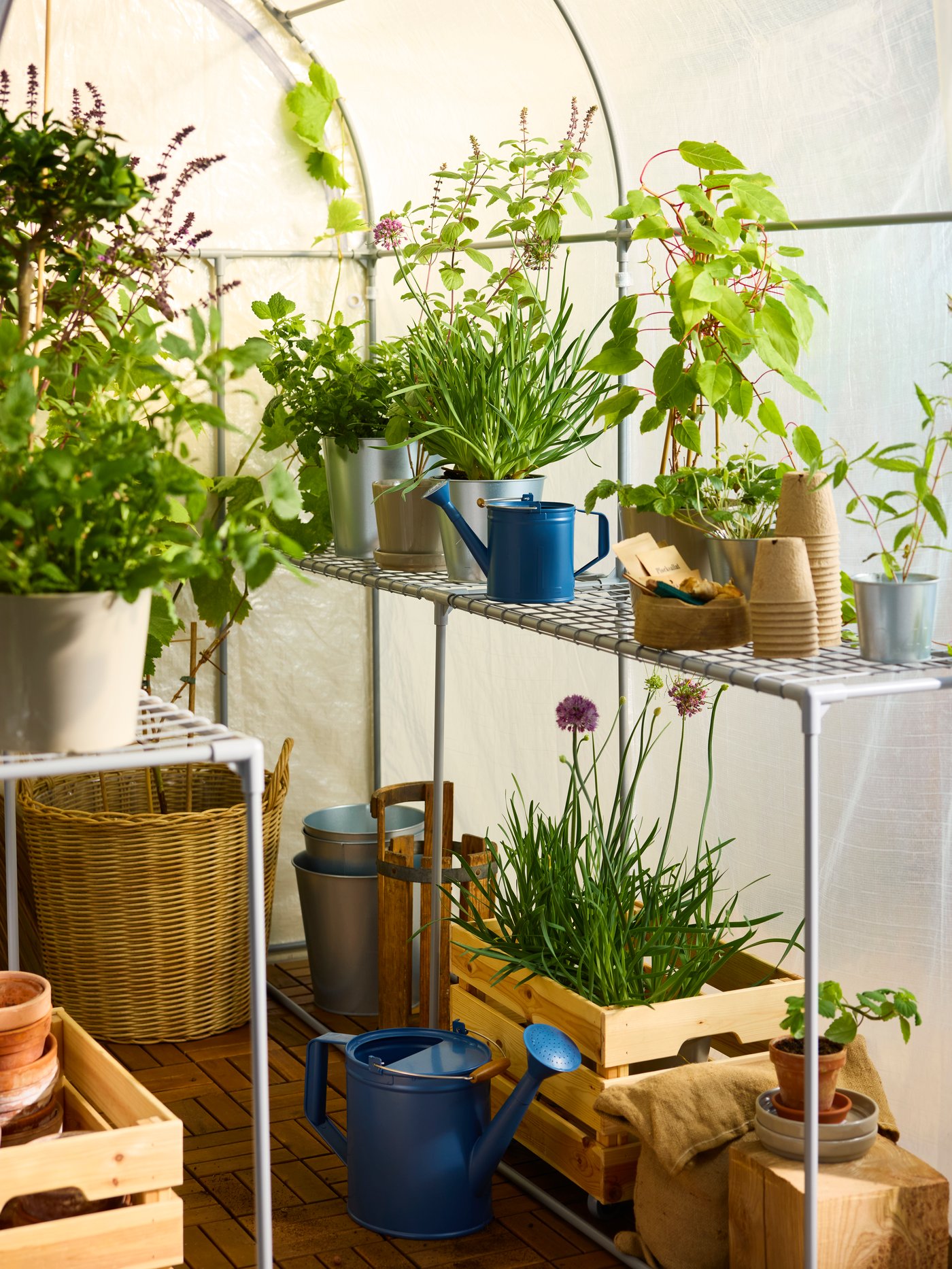 An in/outdoor dark blue ÅKERBÄR watering can outside