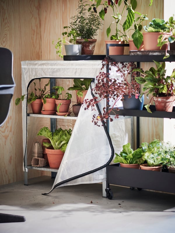 A transparent/in/outdoor HYLLIS cover outside