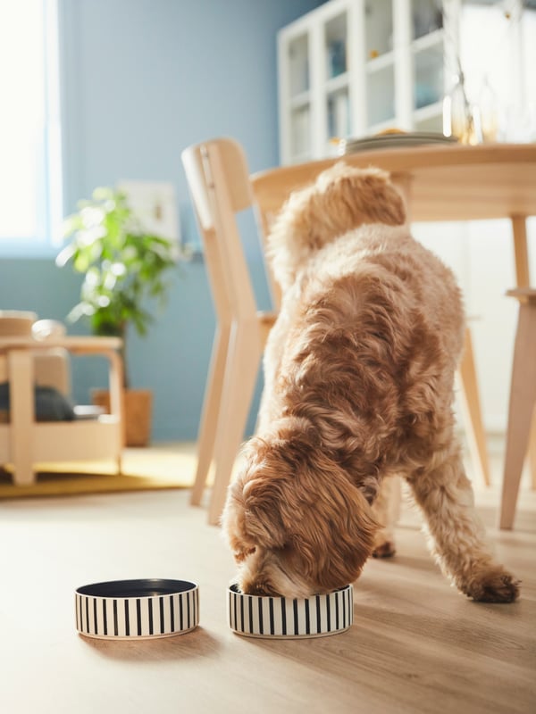 Bowl para mascotas UTSÅDD en el comedor.