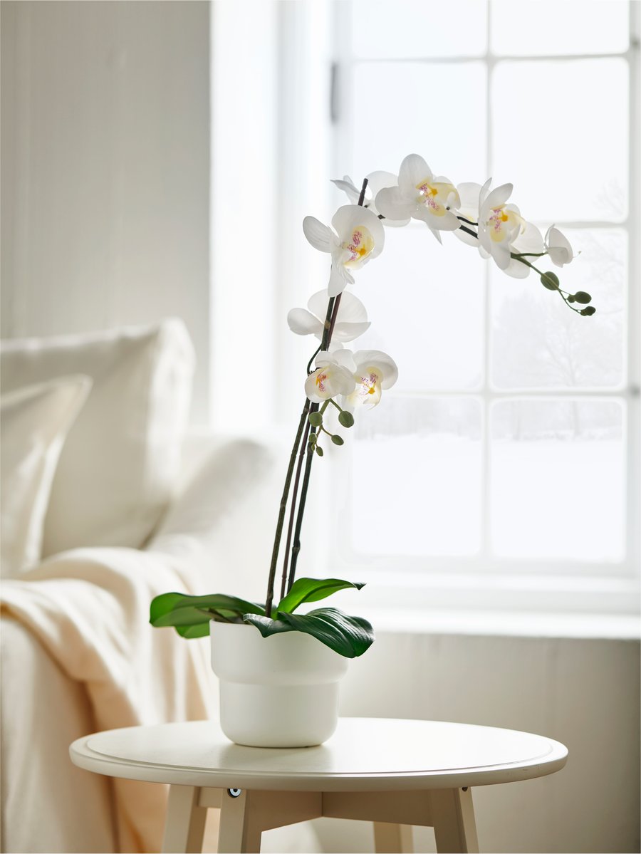 Buy Home Decoration Online Home Decoration IKEA
