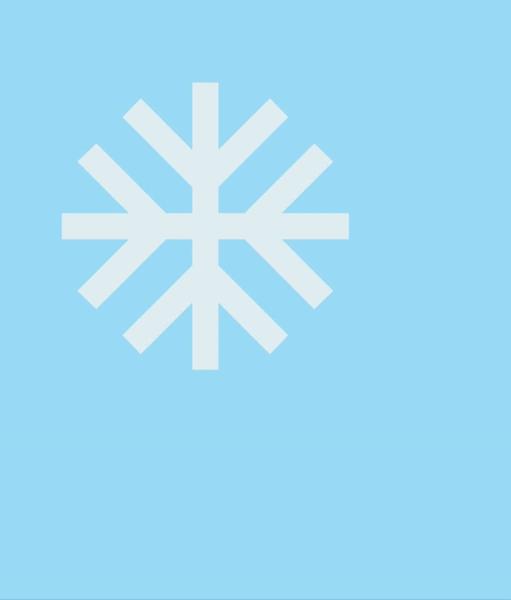 Flocon de neige