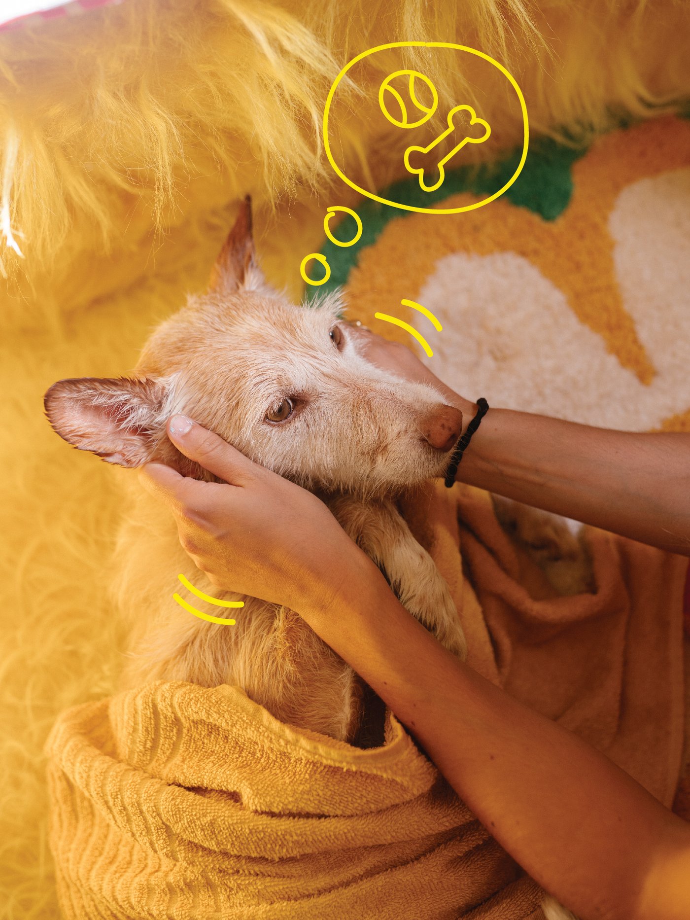 Spa day for pets IKEA