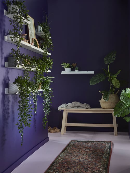 Cameră vopsită în violet, cu douăsprezece polițe înguste MALMBÄCK, pline cu ghivece cu plante.