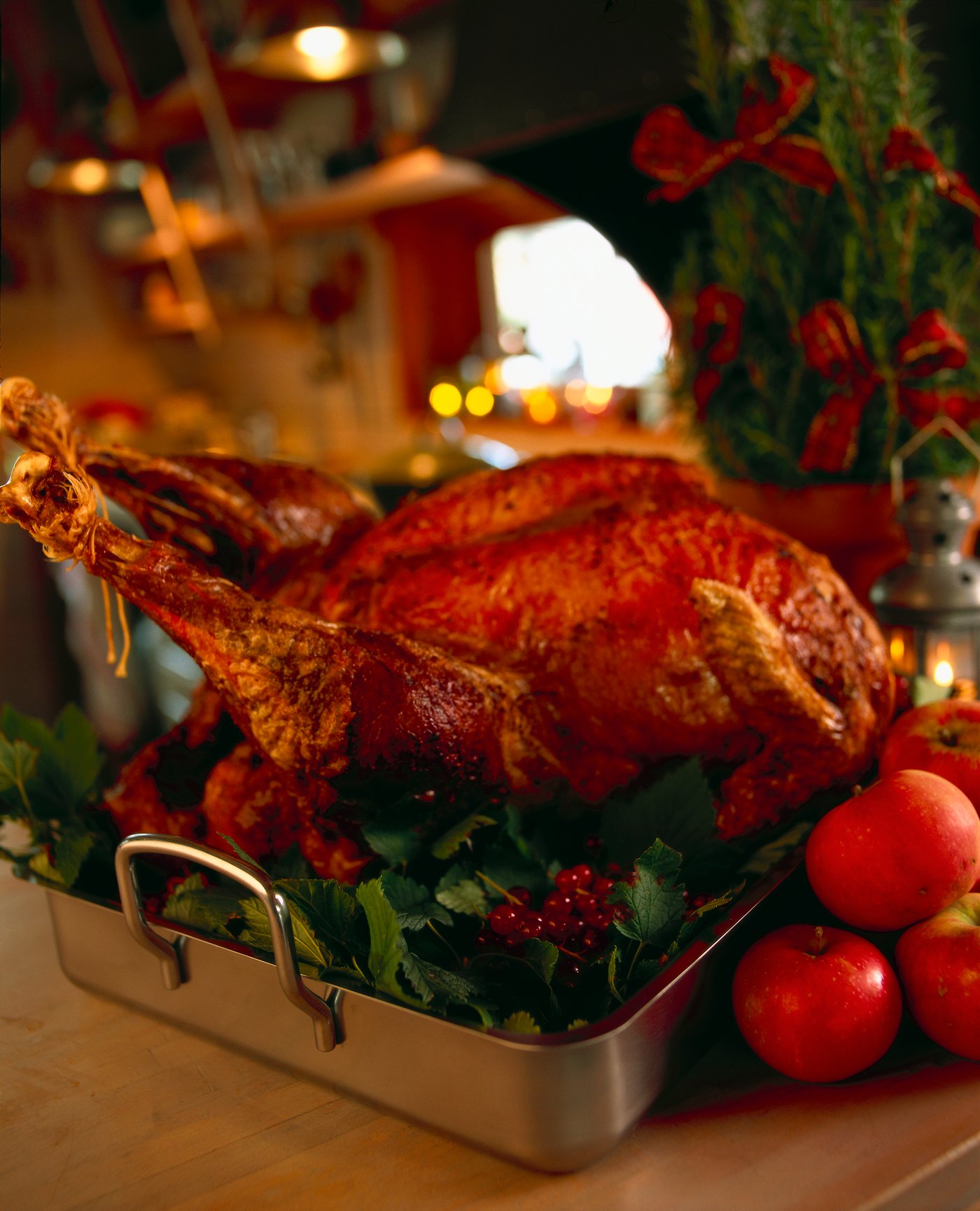Roasted turkey in a roasting pan with herbs and apples on a festive holiday table