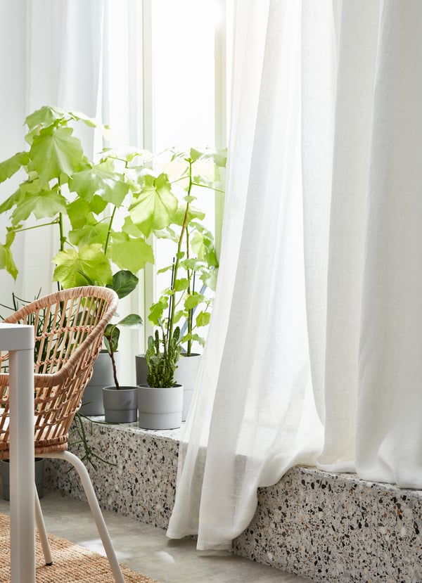 Vasos NYPON de diferentes tamanhos com diferentes plantas, colocados à frente de uma janela, protegida com cortinas LEJONGAP.