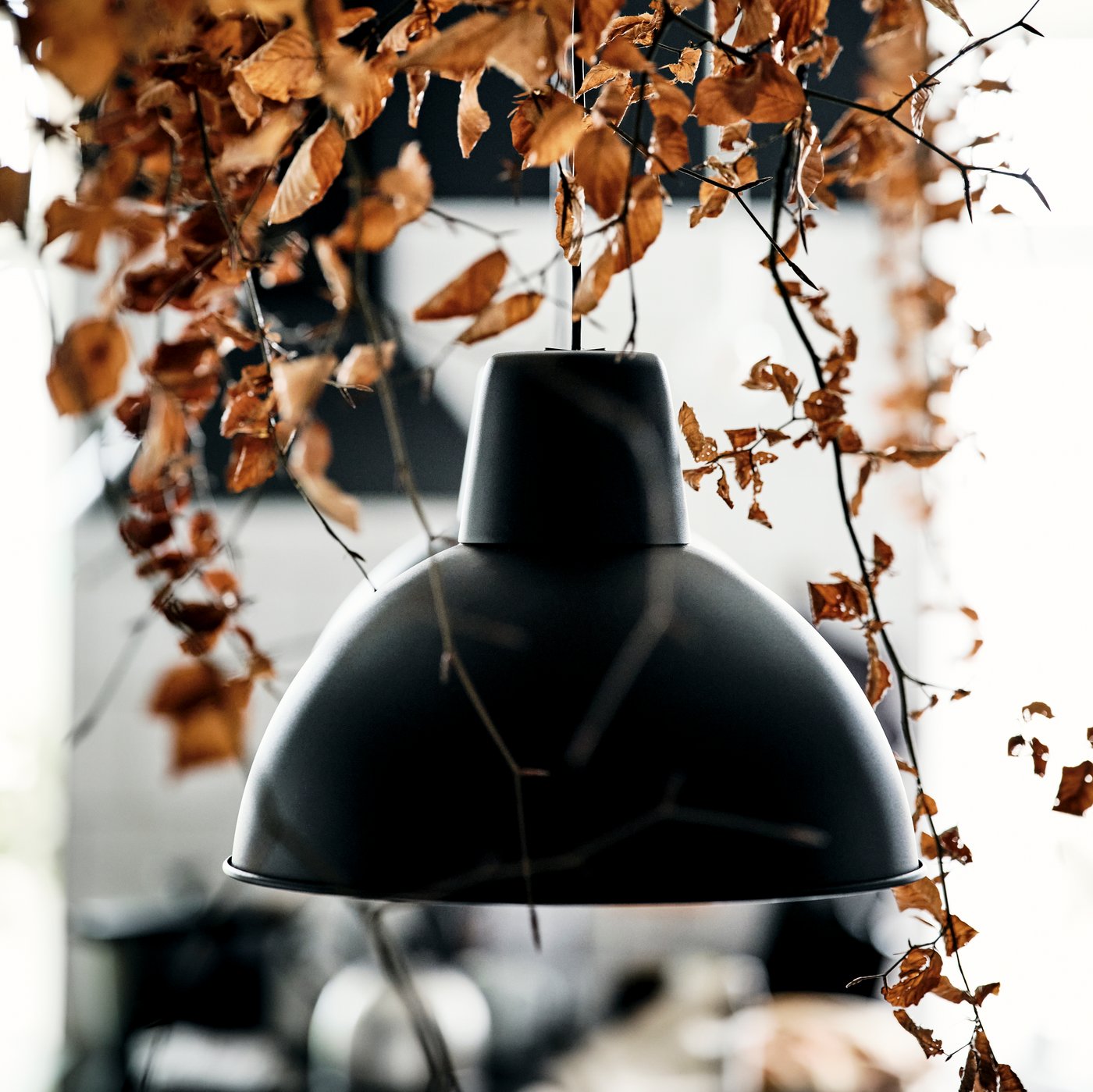 A single black SKURUP pendant lamp hanging with withered leaves suspended as decoration above and around it.