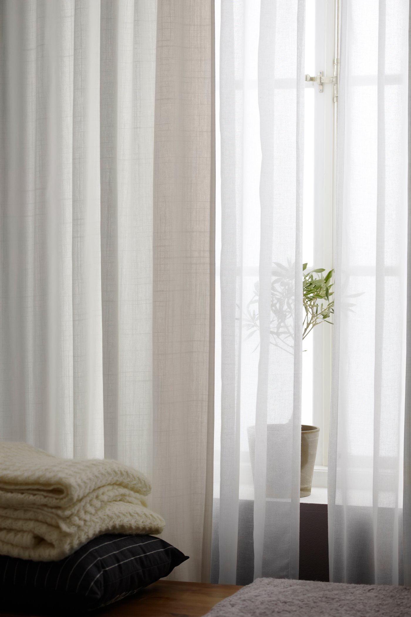 Sheer white curtains with a plant behind them
