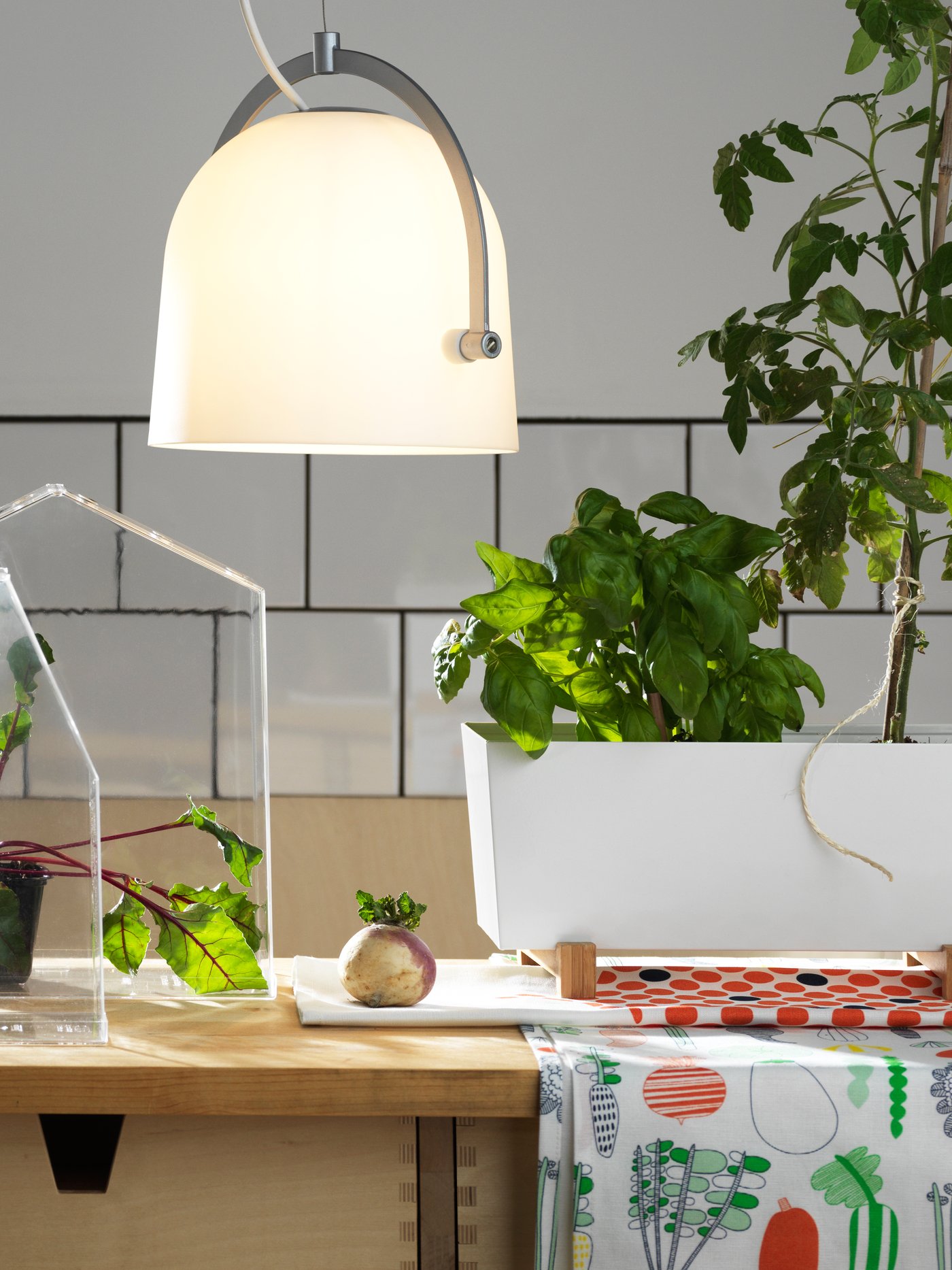 A white/vegetables GULDLÖK tea towel in the kitchen