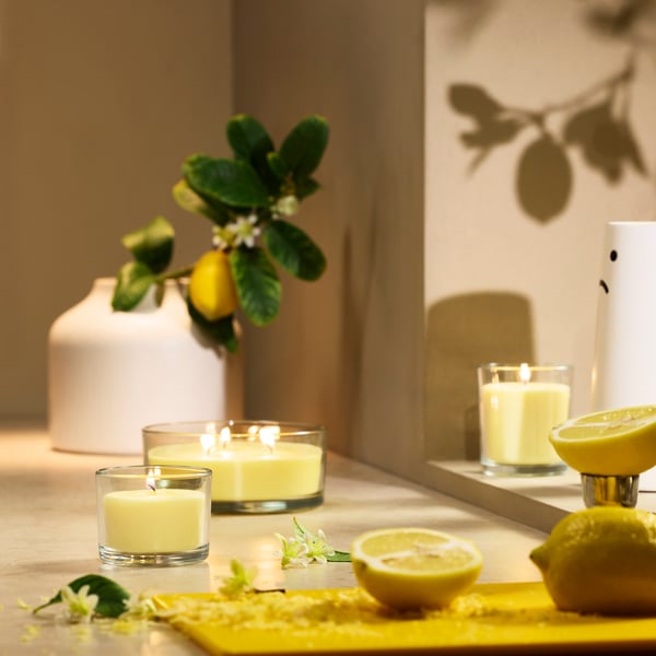 Citrus candles 