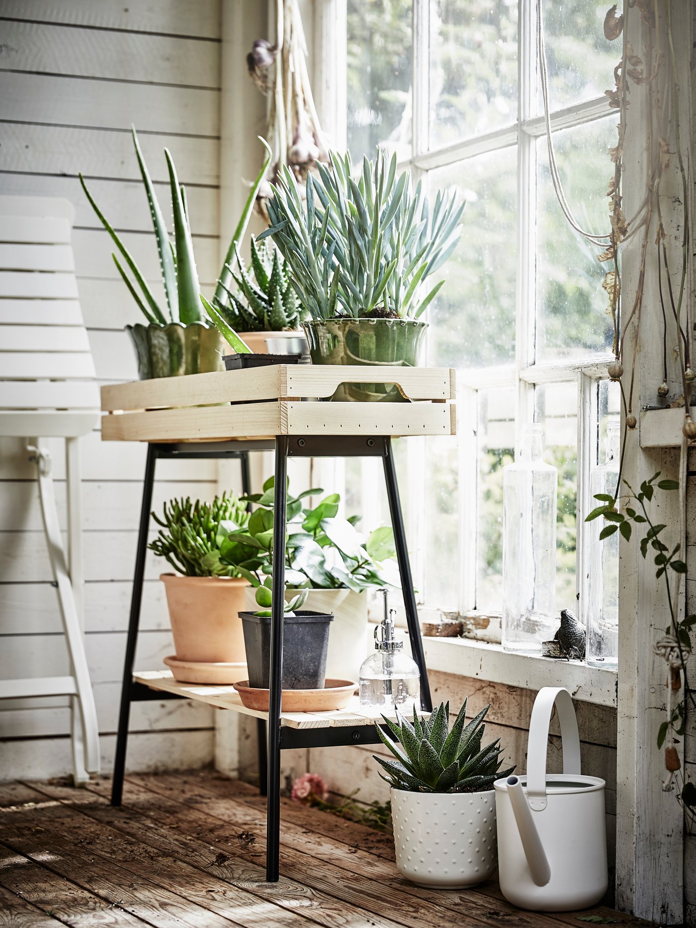 An in/outdoor terracotta MUSKOTBLOMMA plant pot with saucer