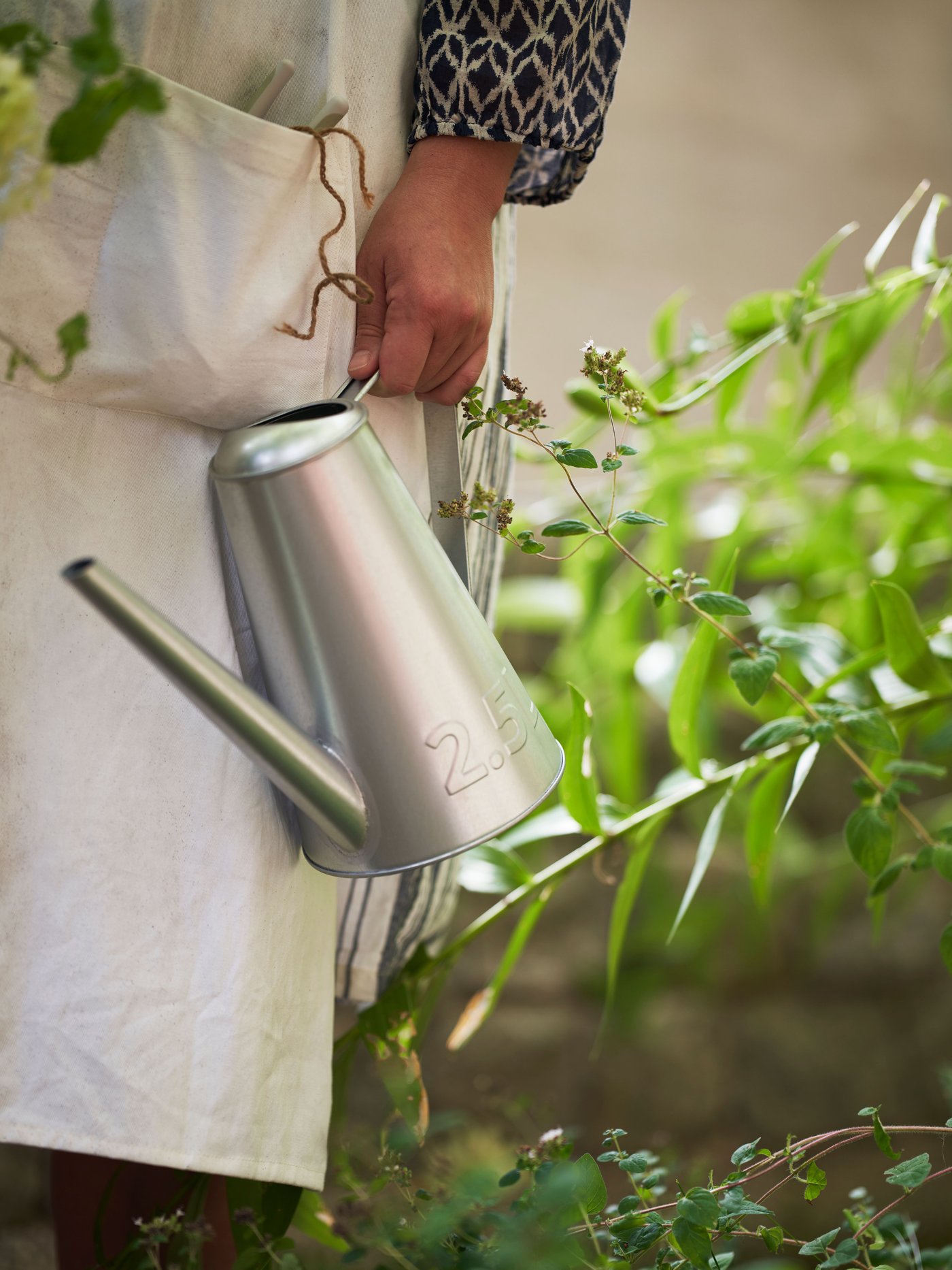 金属製のじょうろを持った人が、緑の植物に囲まれた庭に立っている。