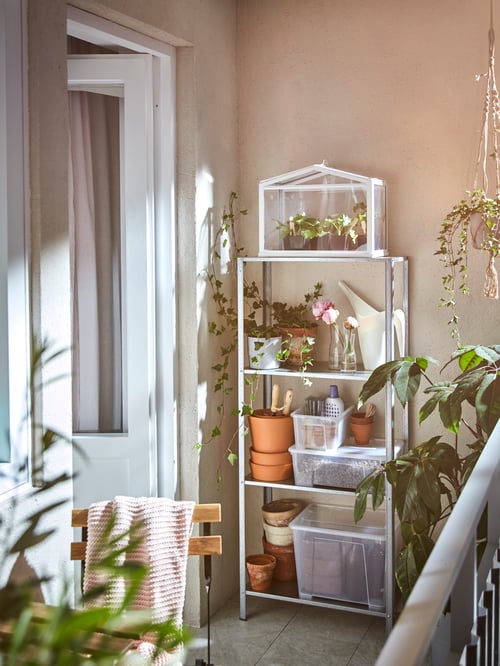 Outdoor area with shelving unit, greenhouse, plant pots, green houseplants, chair, pink throw, gardening utensils, flowers.
