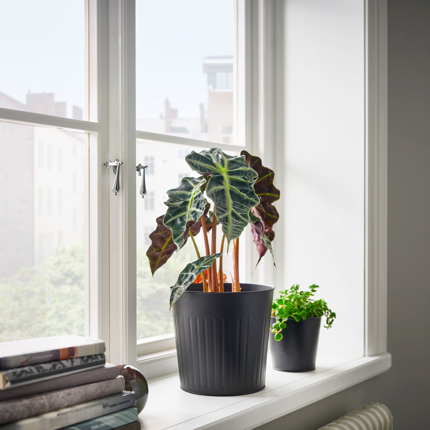 An in/outdoor/anthracite CITRONMELISS plant pot