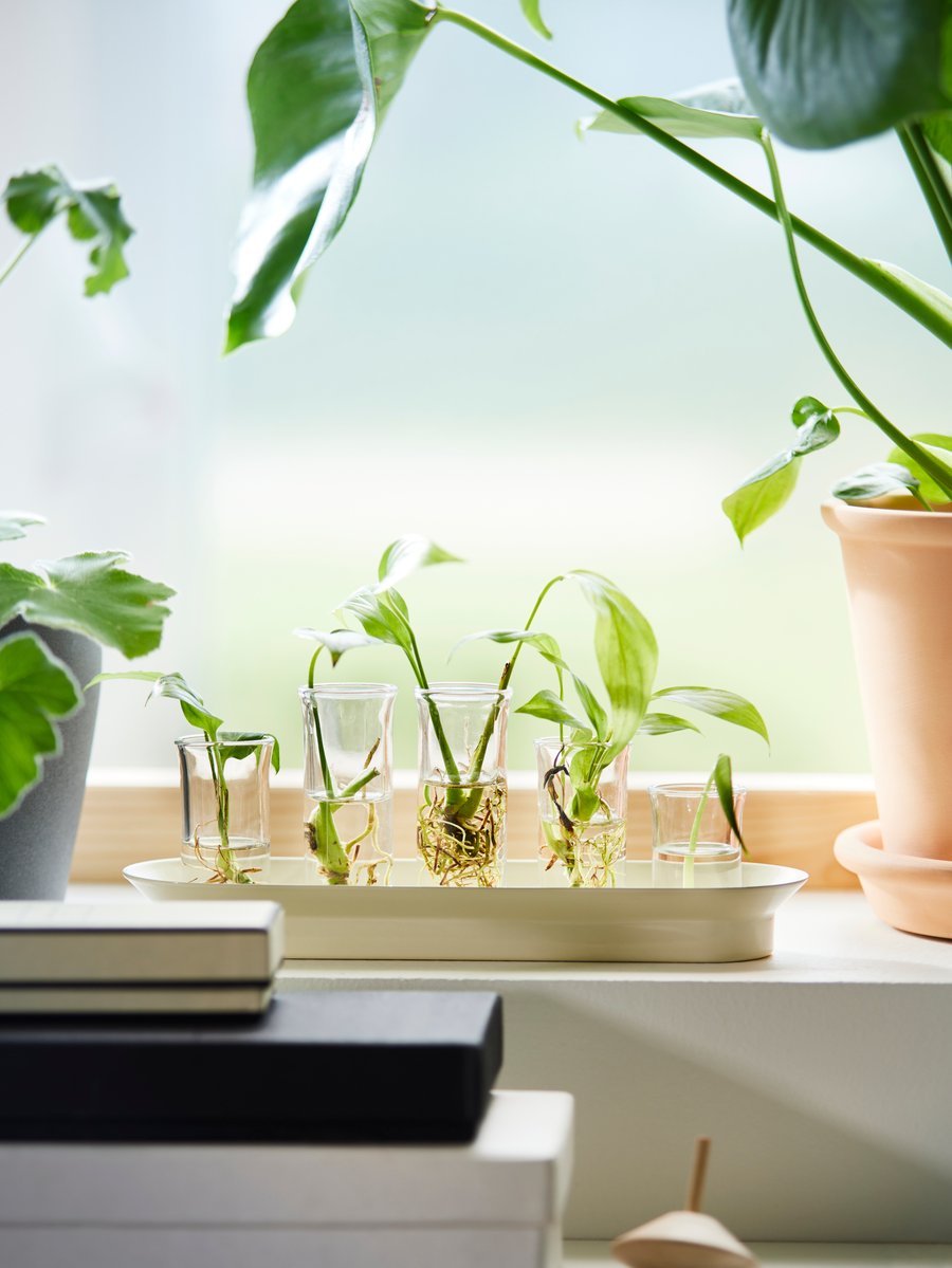 Get inspired by an entrance with calming greenery IKEA