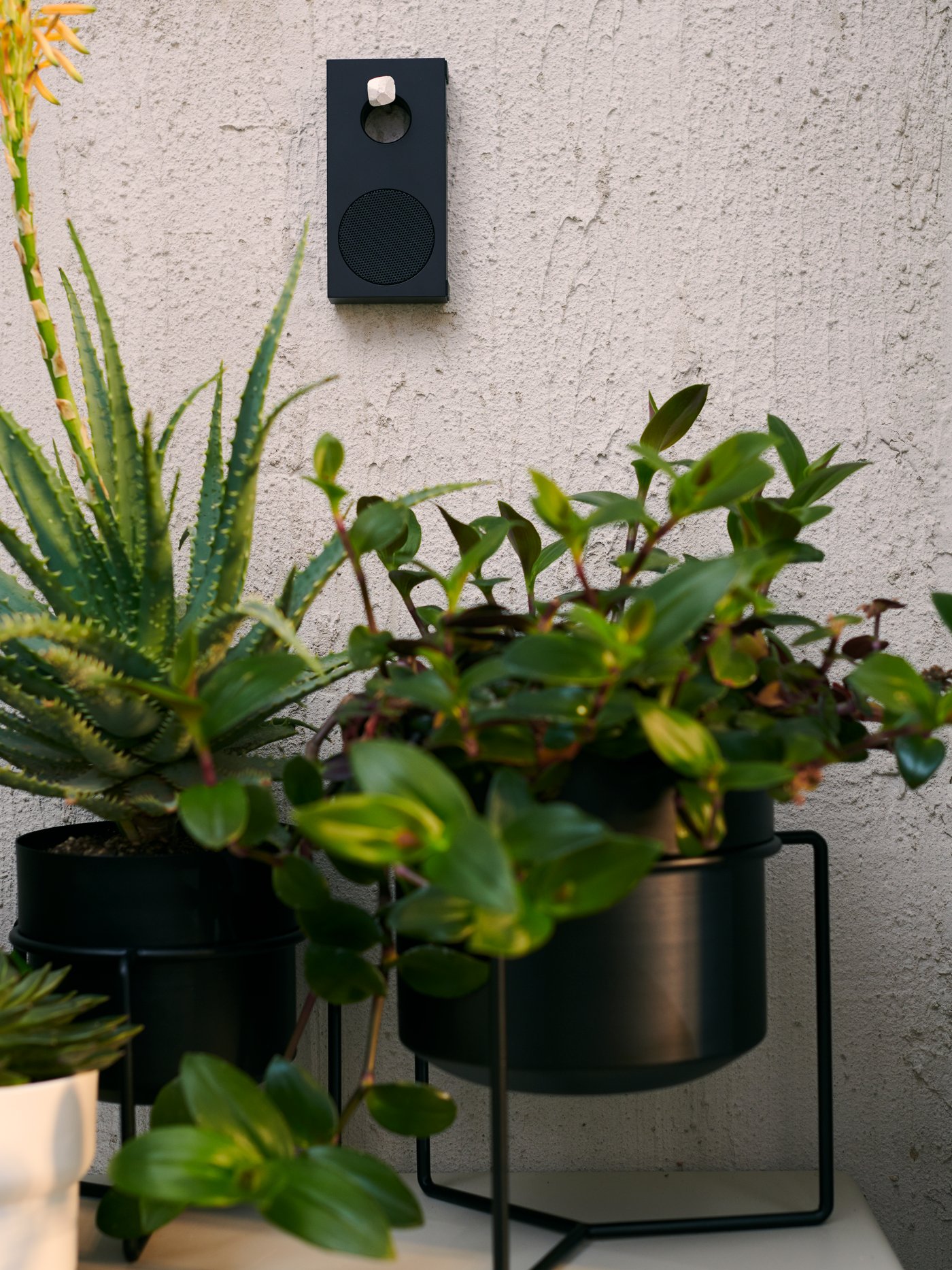 Two GOJIBÄR plant pots and a white pot filled with plants on a cream surface. A portable speaker is on the wall behind.