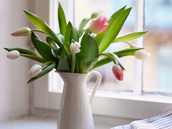 Een boeket tulpen/assortiment TULIPA bloemen