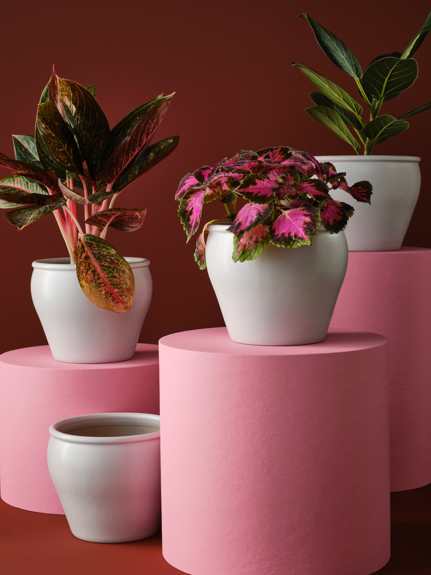 Several AMBRARÖNN plant pots, some holding leafy plants, placed on and next to three cylindric, pink pedestals.