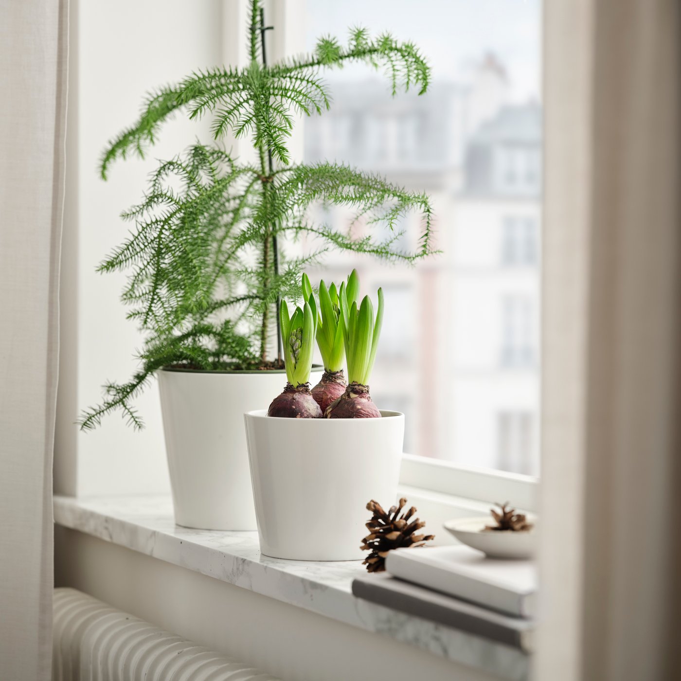 A white SOJABÖNA plant pot