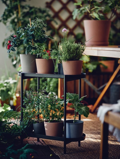 KLARBÄR/クラーベール 植木鉢を設置し、ブラックのOLIVBLAD/オリヴブラード プラントスタンドに置いている屋外エリア。背後にはトレリスがあります。