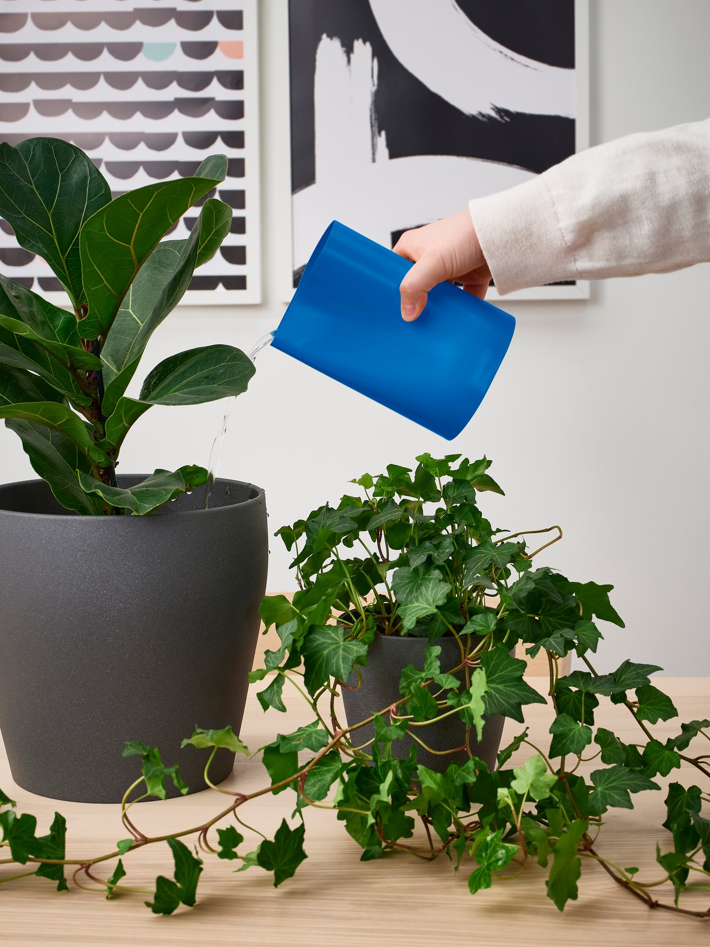 A bright blue CHILIFRUKT vase/watering can