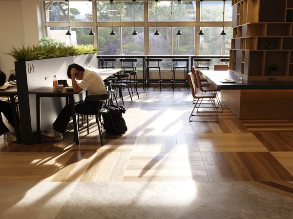 ウッディテイストな空間に植物が置いてあり、落ち着ける空間