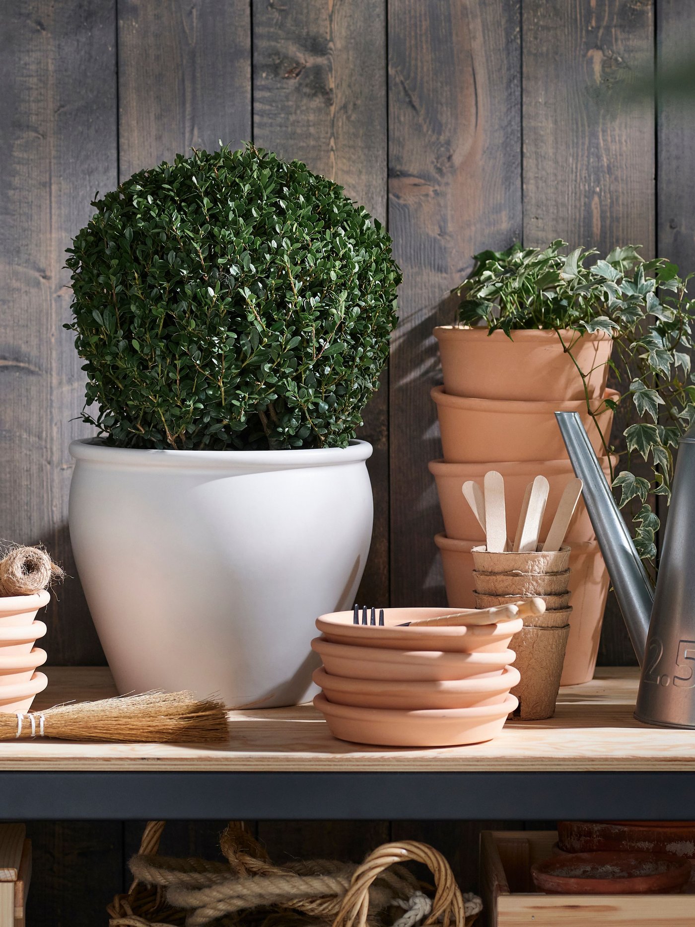 An in/outdoor terracotta MUSKOTBLOMMA plant pot with saucer