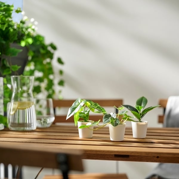 FEJKA artifi pttd plant s3 in/outdoor leaf