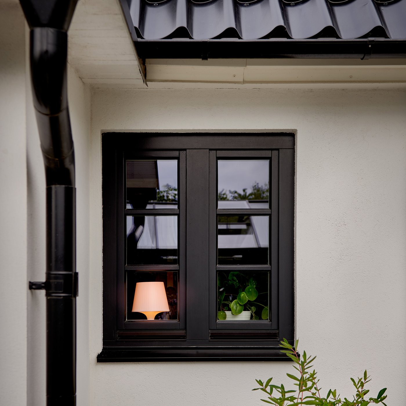 Svart fönster på vit husvägg med lampa och grön växt i fönstret, svart tak ovanför.