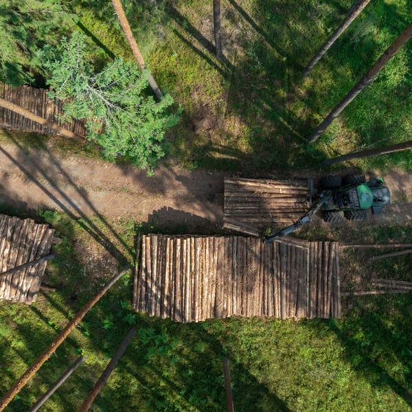 Tronchi impilati in un bosco con un trattore lì vicino.