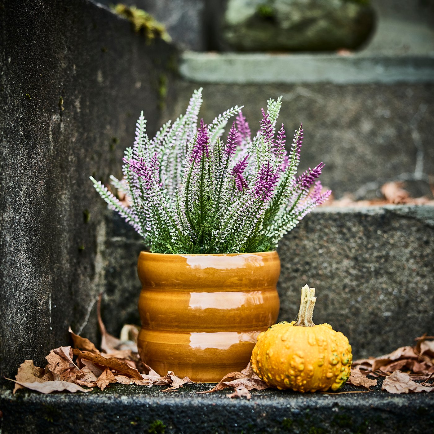 Una planta artificial FEJKA lila en una maceta sobre una escalera exterior, junto a una pequeña calabaza naranja y hojas secas.