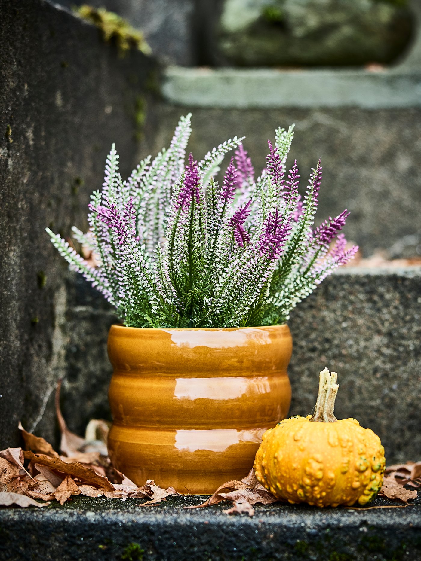 A lilac FEJKA artificial potted plant stands on an outdoor staircase next to a small yellow pumpkin and dried leaves.