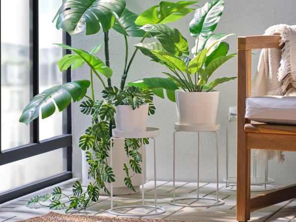 Planters