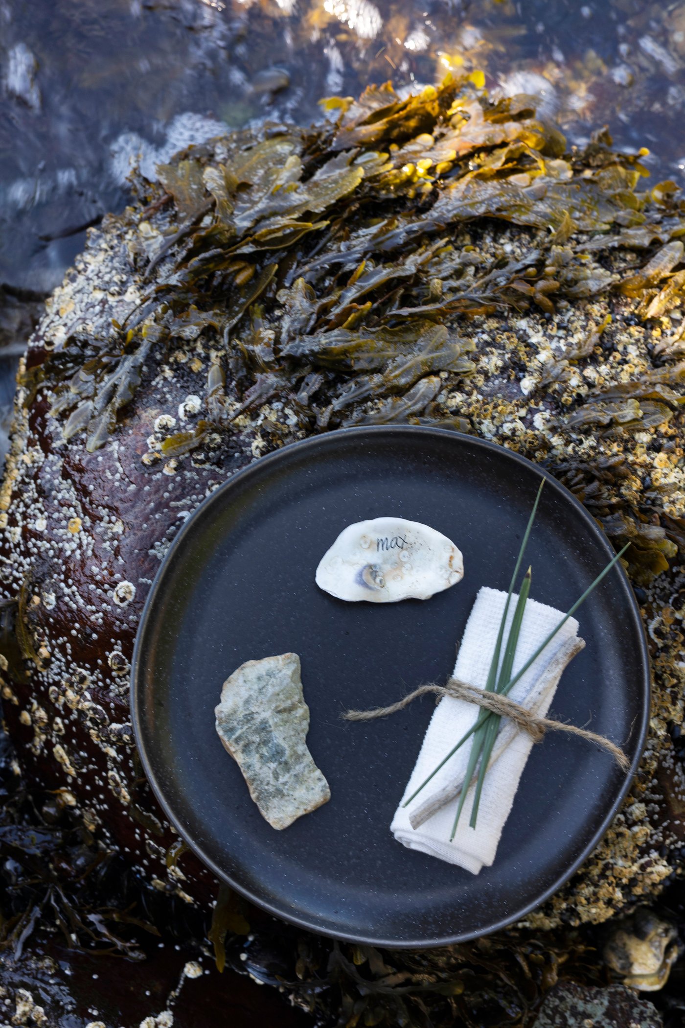 En tallerken med elementer fra stranden.