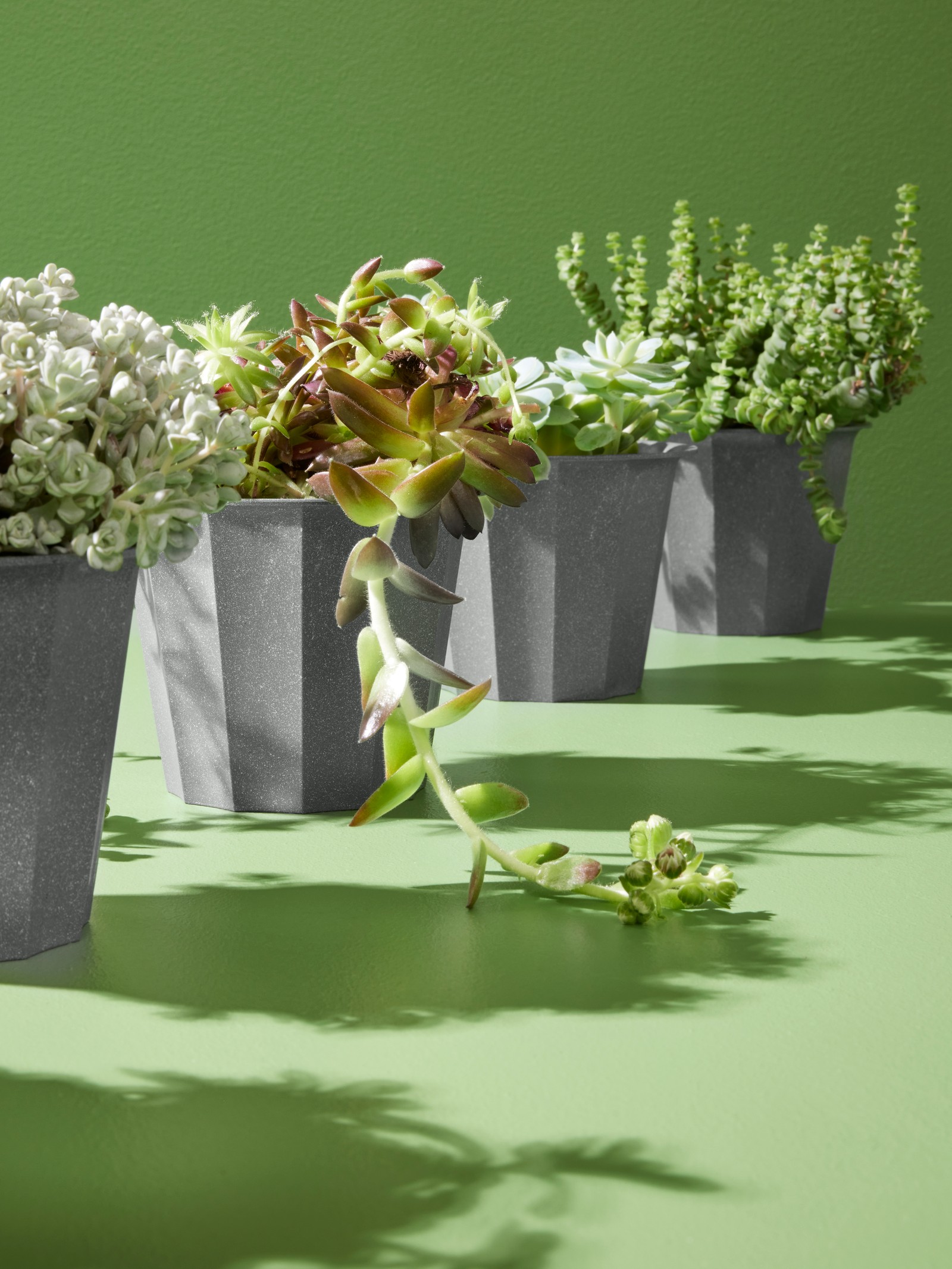 Stort Utvalg Av Planter Blomsterpotter Og Pidestaller Til Lav Pris IKEA stort-utvalg-av-planter-blomsterpotter-og-pidestaller-til-lav-pris-ikea