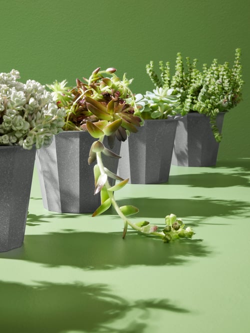 Patru ghivece de plante BUSKVERK gri pline cu plante, pe un fundal verde.