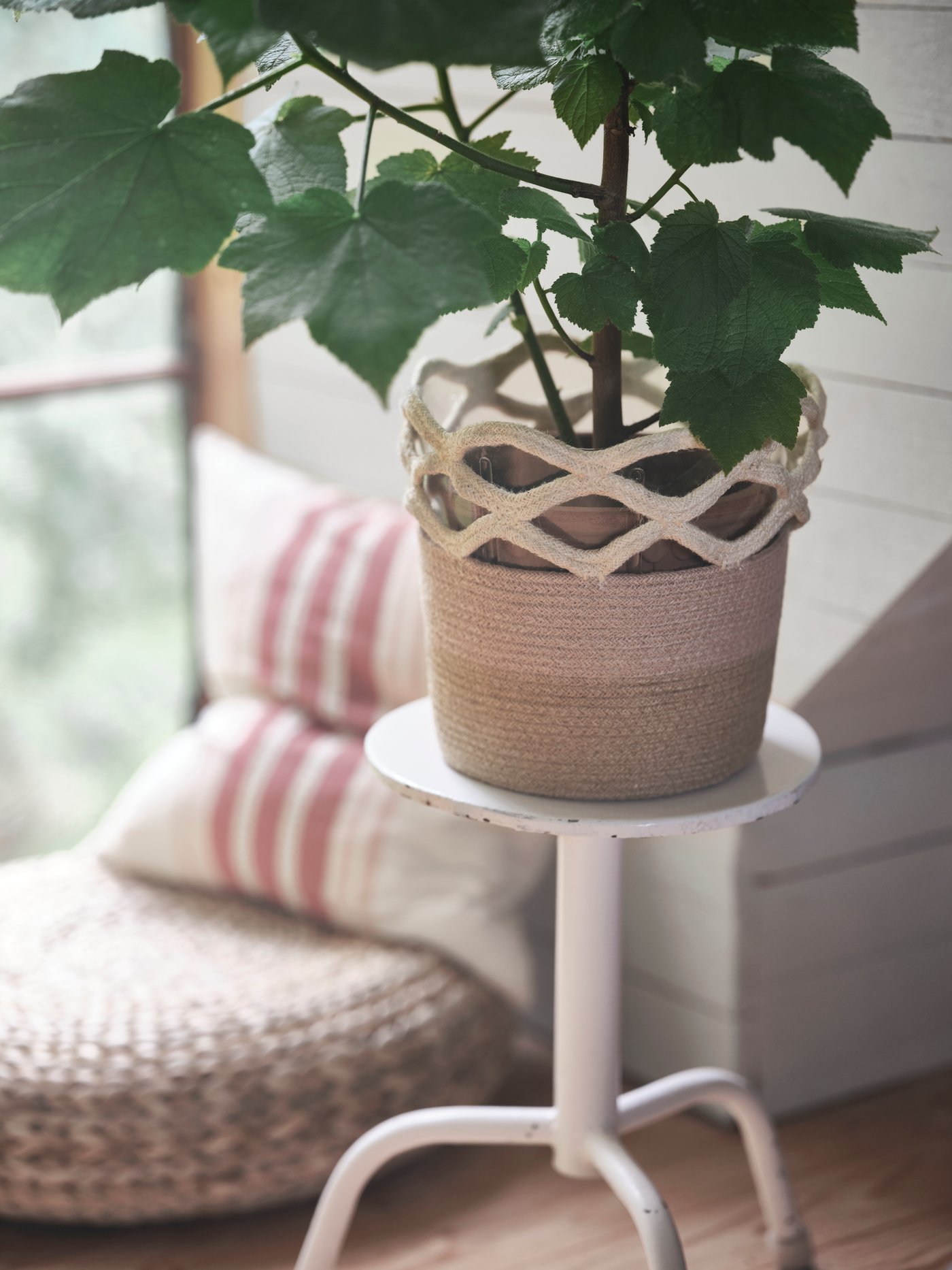 A VÅRDANDE 100% jute plant pot, filled with a leafy green plant, is on a white plant stand in a bright space.