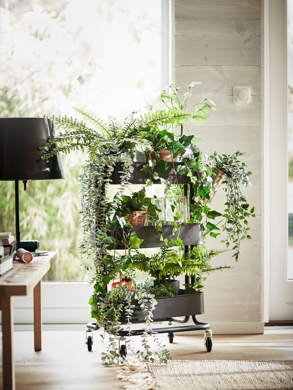 A gray RÅSKOG trolley containing artificial plants