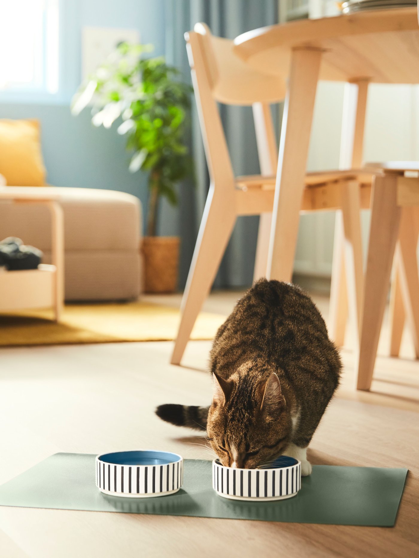 ペット用品｜IKEA【公式】家具・インテリア雑貨通販 - IKEA