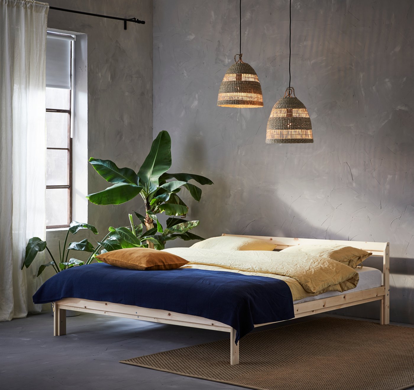 A banyan FICUS BENGHALENSIS potted plant in the bedroom