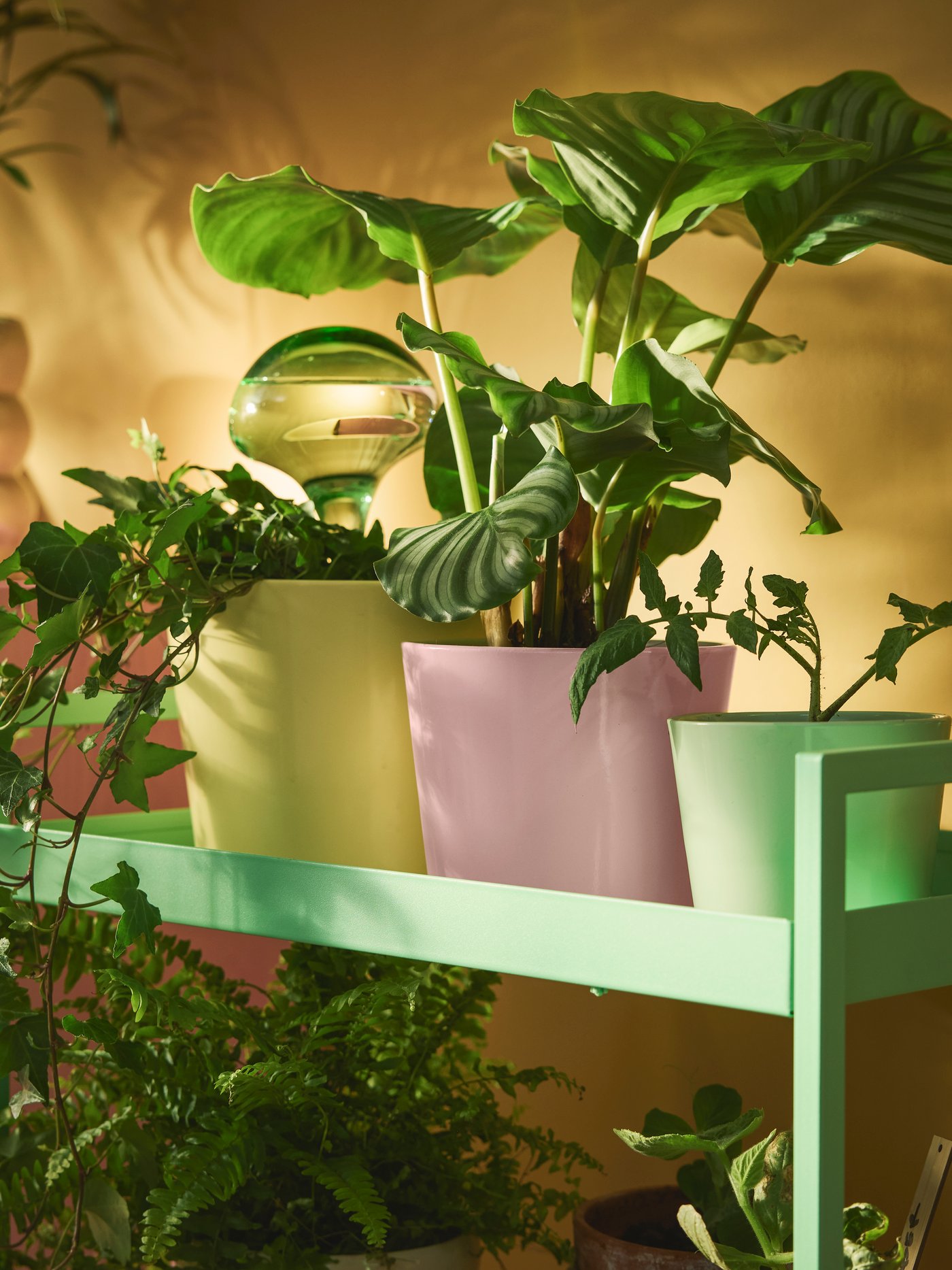 A light pink SOJABÖNA plant pot