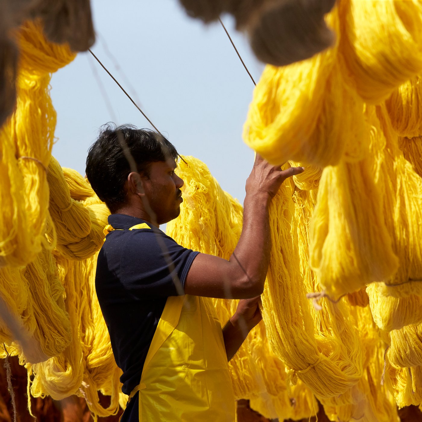 A textile worker in India hanging newly dyed, bright yellow cotton out to dry.