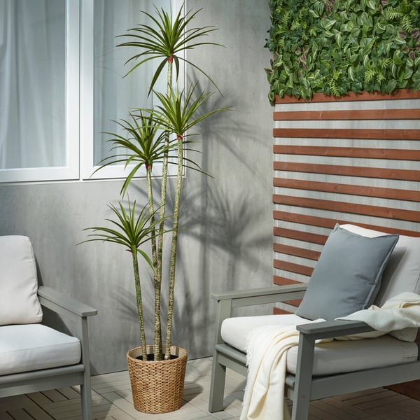 An in/outdoor Dracaena FEJKA artificial potted plant