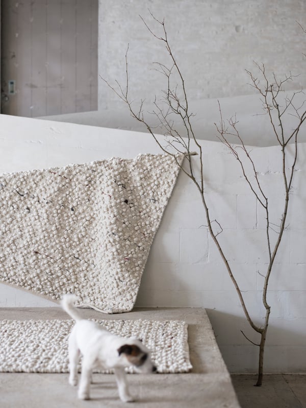 An off-white SVÄRDBORG rug with multicoloured yarns is draped over a white wall; a small white dog is in the foreground.