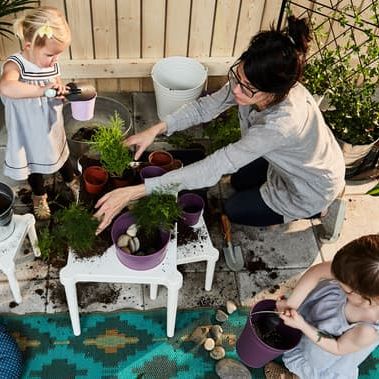 Eine Collage zeigt Erde in einer Box, ein Kleinkind mit einer Schaufel und Pflanzen in Blumentöpfen.