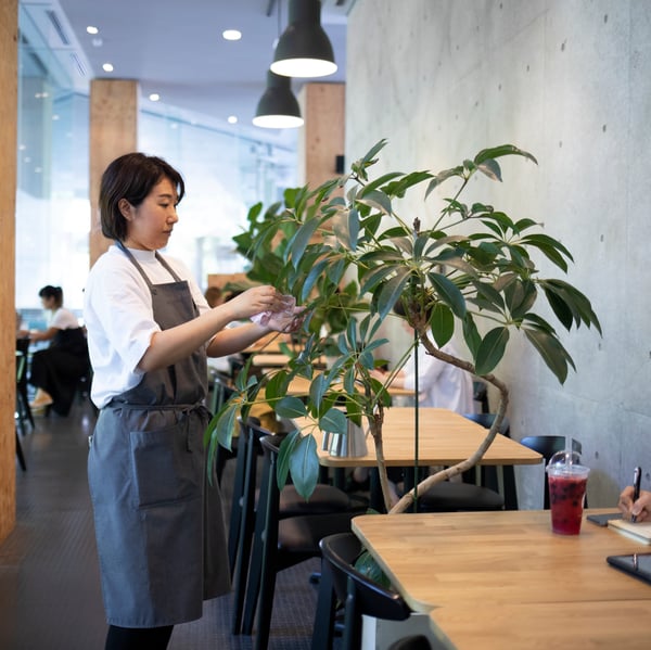 femme qui touche un arbuste
