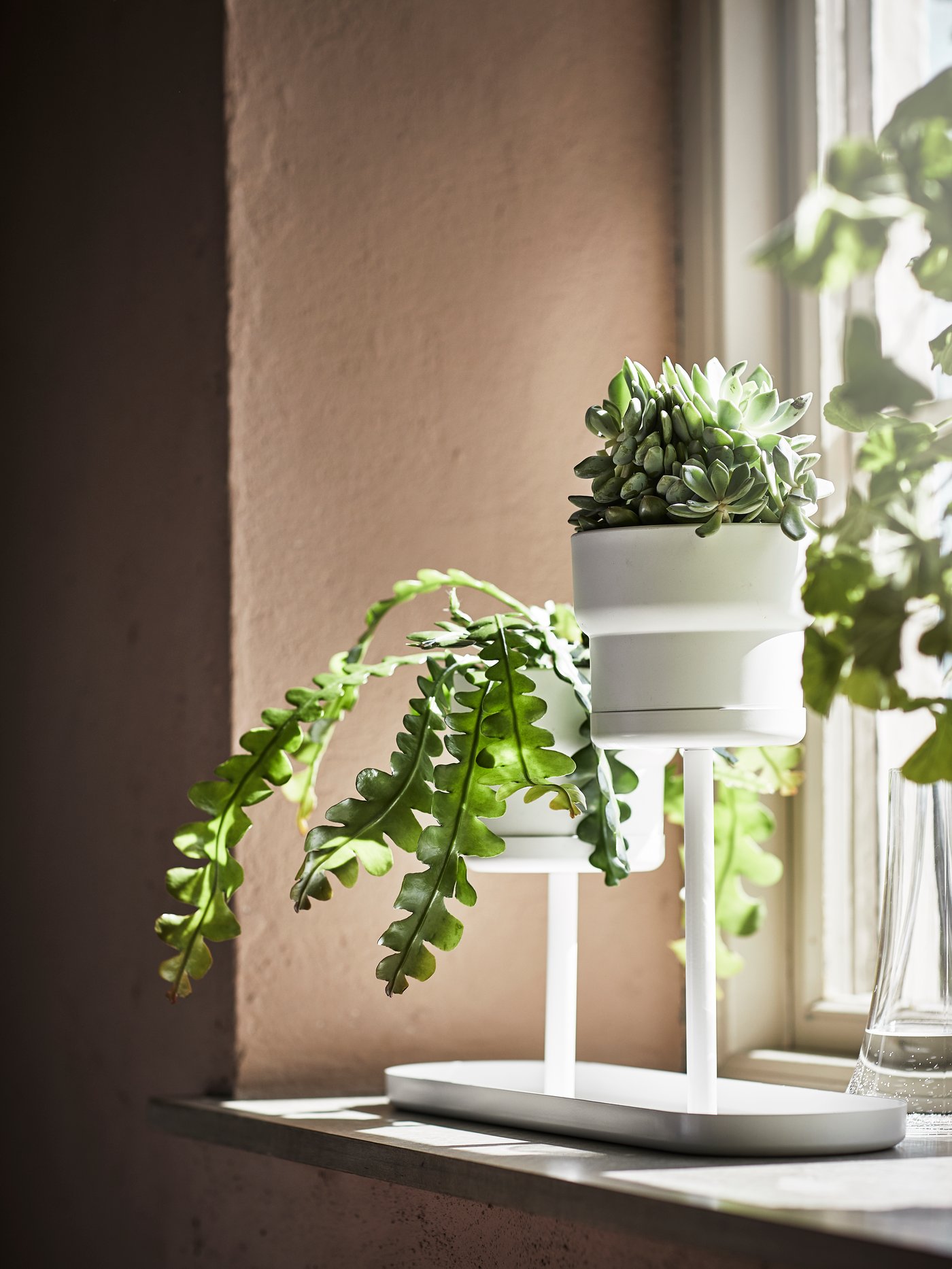 A CHILISTRÅN plant stand in white in the window with green plants.