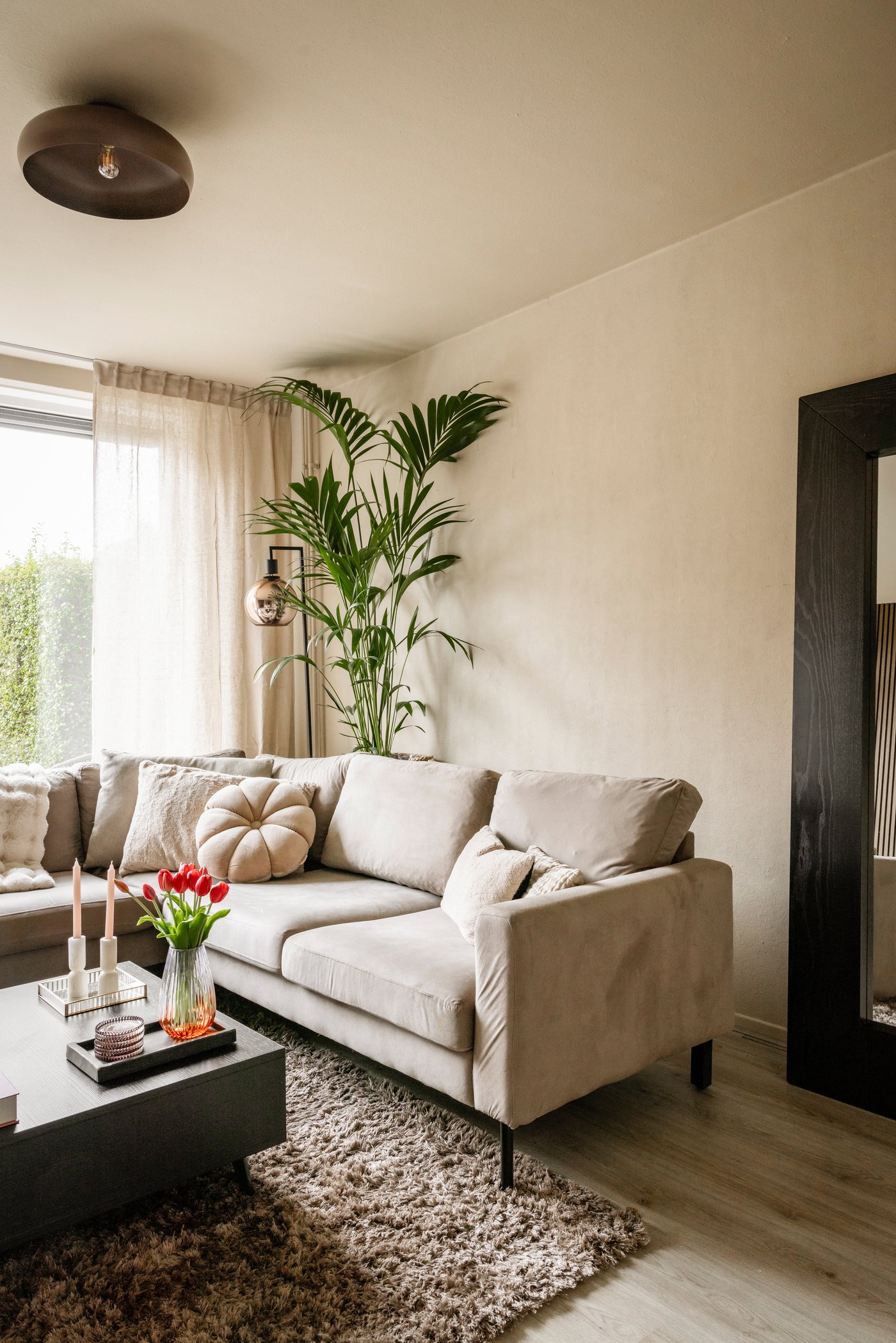 Hoek in de woonkamer met een beige hoekbank op een bruin vloerkleed. Achter de bank, in de hoek, staat een grote plant. Naast de bank staat een grote spiegel met brede, zwarte rand tegen de muur.